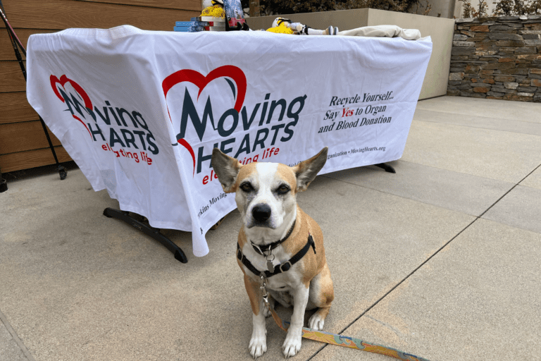 Moving Heats Foundation Kelly Perkins and Closer